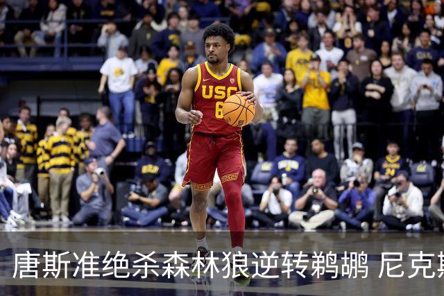 唐斯准绝杀森林狼逆转鹈鹕 尼克斯送黄蜂4连败