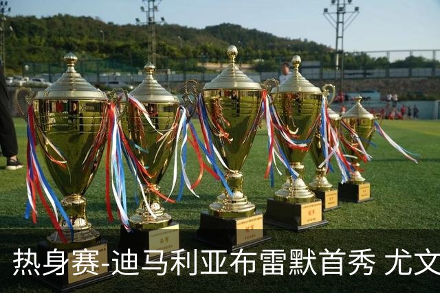 热身赛-迪马利亚布雷默首秀 尤文两小将进球2-0胜