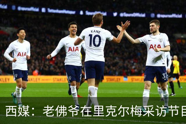 西媒：老佛爷在里克尔梅采访节目后播放竞选广告，堪称绝妙一招