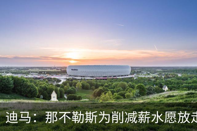 迪马：那不勒斯为削减薪水愿放走卢卡库，但阿莱格里仍希望评估他
