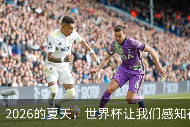 2026的夏天，世界杯让我们感知荷尔蒙的魅力 | 二湘空间
