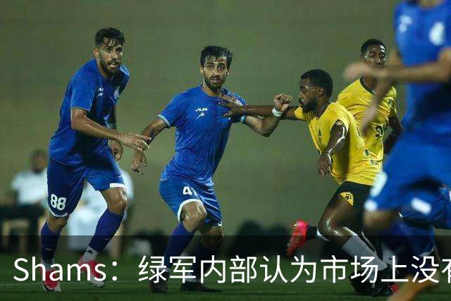 Shams：绿军内部认为市场上没有比乔治+选秀权换布朗更好的报价